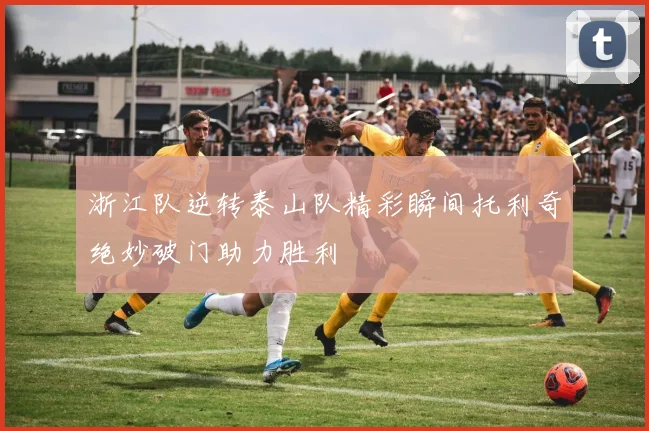 浙江队逆转泰山队精彩瞬间托利奇绝妙破门助力胜利